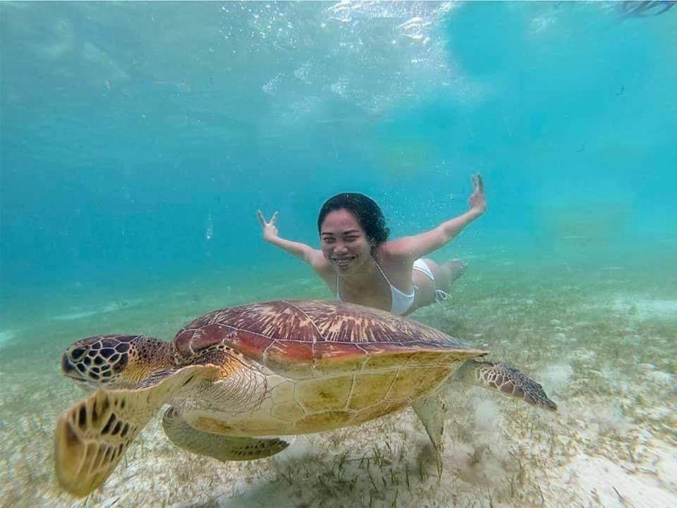 Tauig Beach Resort Moalboal Buitenkant foto