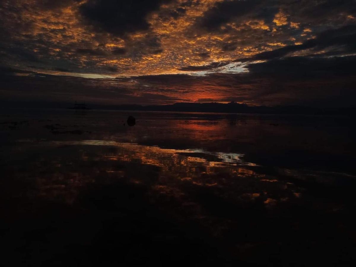 Tauig Beach Resort Moalboal Buitenkant foto